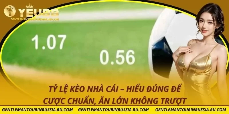 Tỷ lệ kèo nhà cái – Hiểu Đúng Để Cược Chuẩn, Ăn Lớn Không Trượt